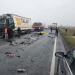 Ζήτησαν να γίνει μνημείο στο σημείο του δυστυχήματος των φίλων του ΠΑΟΚ οπαδοί της Τιμισοάρα