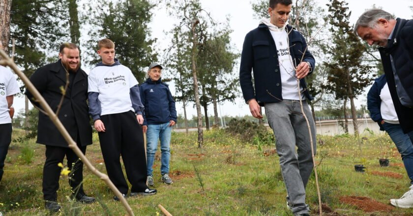 «Μία ομάδα, ένα δάσος»: Ο ΠΑΟΚ φύτευσε 1.926 δέντρα για τα 100 χρόνια στην Τούμπα