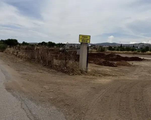 Το όραμα της ΚΑΕ ΠΑΟΚ για τη δημιουργία ενός σύγχρονου προπονητικού κέντρου στην Πυλαία περνά πλέον από τα σχέδια στην πράξη